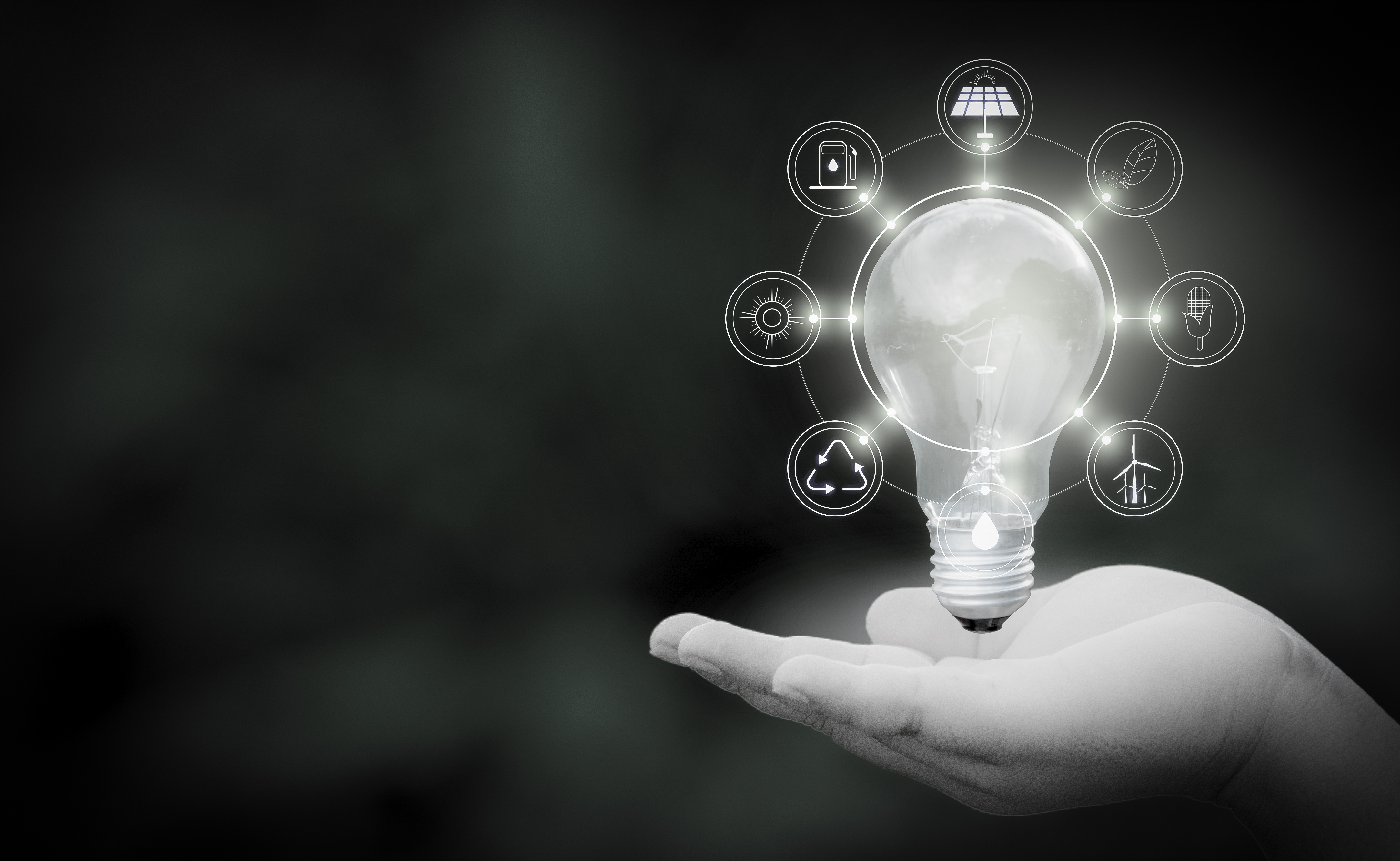 Renewable energy concept Earth Day or environment protection Hands protect forests that grow on the ground and help save the world.