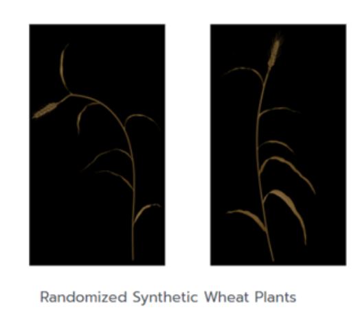 synthetic plants
